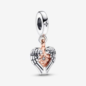 Pandora Celestial Compass Angel Wings Visieť Two-tone | 643HEYTRS