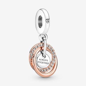 Pandora Family Always Encircled Visieť Two-tone | 642FQOBSP