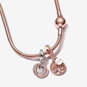 Pandora Family Circle Charms Viacfarebný | 794VESKLQ