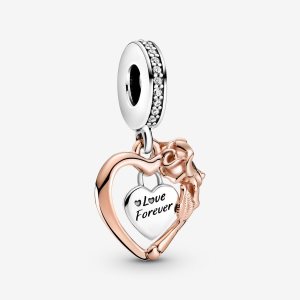 Pandora Flower Visieť Two-tone | 693PUGOSX