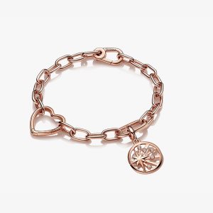 Pandora ME Rays of Life Odkaz Viacfarebný | 814FMJBTC