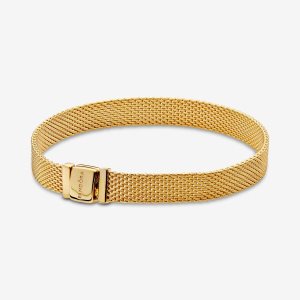 Pandora Reflexions Mesh Charms Zlate | 279KCJEBP